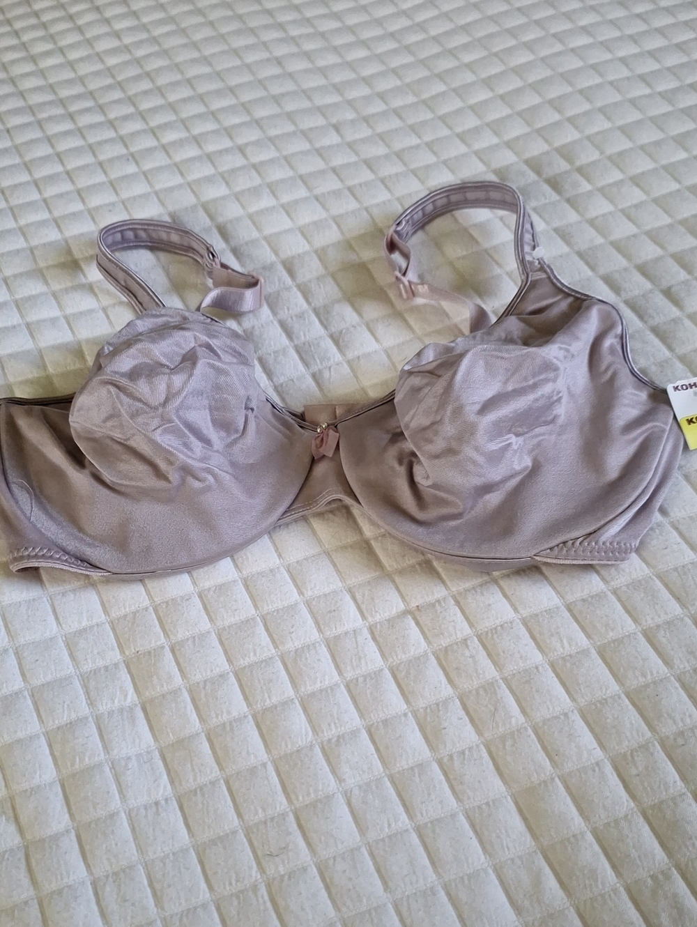 Women's Satin Underwire Bra in Mauve
